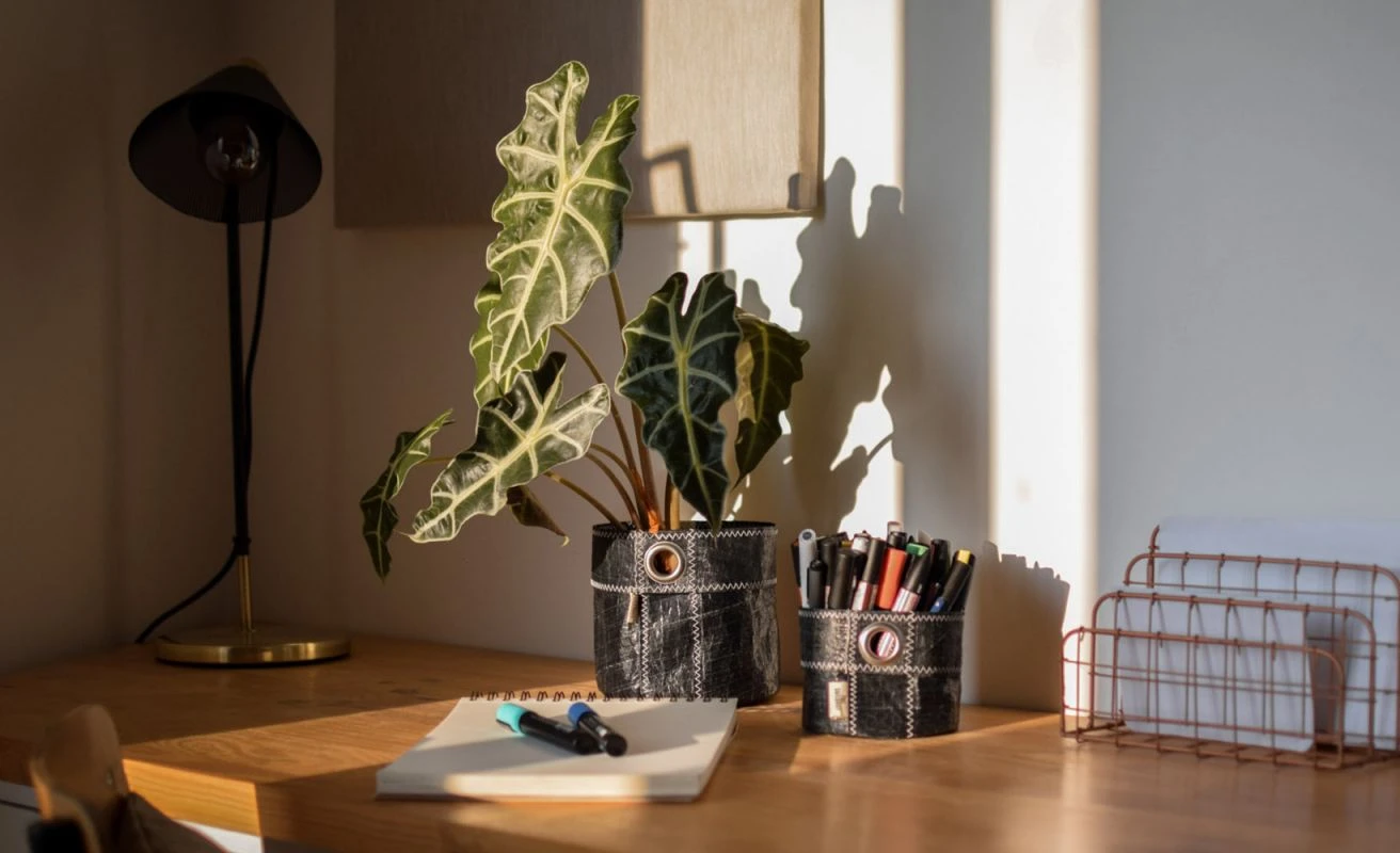 Table Basket 3Di Black Size Large Recycled Sail - Image 3